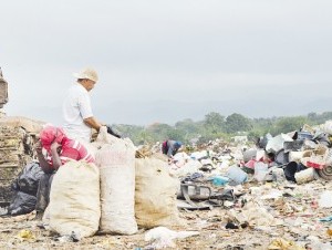 Buscan solución a los problemas de basura en Moca. (Ricardo Flete) 