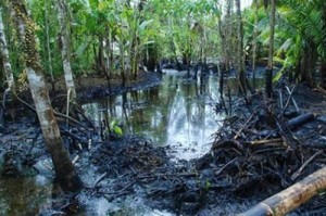 Chevron maquilló e inyectó 40 millones de dólares para tapar las piscinas de petróleo. (Foto: amazoniactual.com)