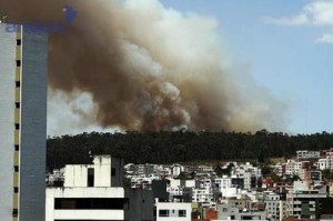 La ministra de la defensa de Ecuador informó que dispuso de las Fuerzas Armadas de ese país para sofocar un incendio forestal. (Foto: Andes)