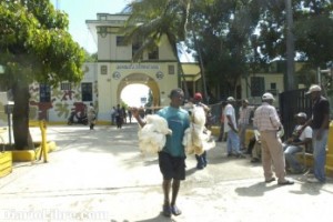 Los haitianos pagan más caros pollos y huevos por veda a RD.