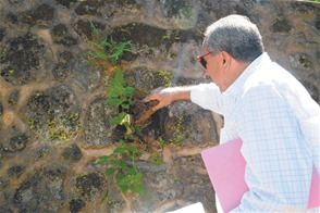 Aportes. Umberto Nardi muestra los desagües de la obra construida por Gregorio Luperón.