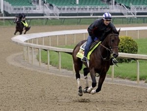 El jinete de práctica Faustino Aguilar monta a Medal Count en una práctica para el Derby de Kentucky el miércoles, 30 de abril de 2014, en Louisville, Kentucky. (AP ) .