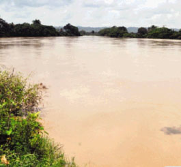 Así está el Río Yuna, en la desembocadura de la Bahía de Samaná.