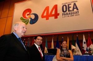 El secretario general de la OEA, el chileno José Miguel Insulza, que arribó el sábado a Asunción, ha valorado la elección del lema al decir que la región "está limitada por la pobreza y la desigualdad".