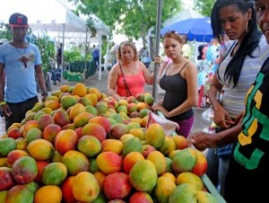 La Feria Expo Mango promueve e incentiva la producción, procesamiento, mercadeo y consumo de la fruta. 