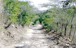 La carretera Cibao-Sur uniría ambas regiones.