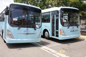 Autobuses recién adquiridos por el Ministerio de Educación.