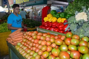 Foto: Manifestó que mientras el Banco Agrícola ha elevado su cartera al campo en un 117,6% a septiembre de 2014 con relación a 2012, en el mismo período la banca comercial ha reducido en 22,7% su canalización de créditos a la agropecuaria