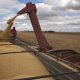 Un agricultor controla la carga de soja en un contenedor en Rosario, Argentina